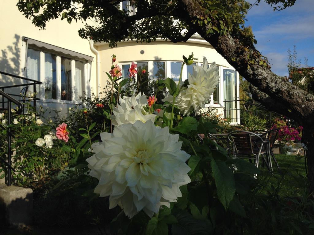 Villa Ingrid Borgholm Exteriér fotografie